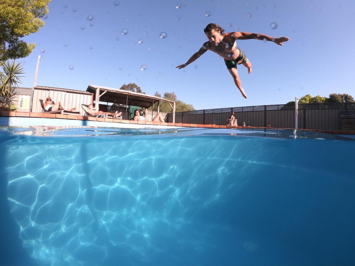 Hunter Valley Yha Vandrehjem Cessnock Eksteriør billede